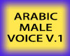DGR Arabic voice v.1