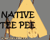 TeePee Native American 2