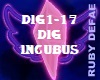 DIG1-17 DIG  INCUBUS