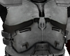 SW Armor vest