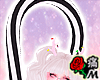 蝶 Black Candy Cane