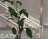 Plant With Lights v2