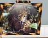 Leopard Picture Framed