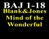 Blank&Jones - Mind of th