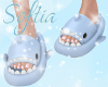 Shark Slippers w/o socks