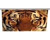 Tiger Eyes Wall Panel