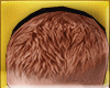 Lray Carrot Hair