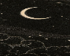 Cutout 198
