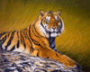 Tiger Painting "KHAN"