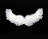 SL Love Wings