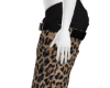 Cheeta Shortsv