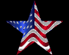 U.S.A. T-Shirt