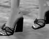 V. Sandal White