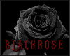 BlackRose Banner