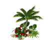 Tropical Plants