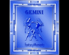 6v3| Gemini