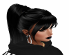 black pony
