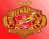 Kelantan FA 2015 (Away)