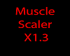 Muscle scaler X1.3