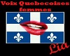 Voix Quebecoises Femmes
