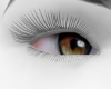 Bia Eyes