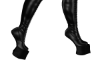 UW Hooves Boots