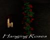 AV Hanging Roses