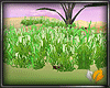 (ED1)Grass --animation