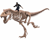 Ride Skeleton Dinosaurus