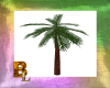 Bahama Blast Palm tree