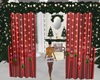 Christmas Curtains/Light