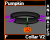 Pumpkin Collar F V2