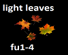 light leaves fall