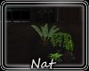 NT Heartbeat Plant
