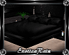 (E)Noir: Cuddle Bed