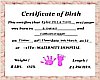Girl Birth Certificate2