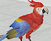 Animated Parrot King