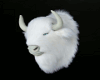 3D White Buffalo