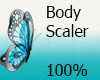 LV body scaler