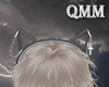 Your cute cat(M)
