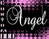 |NDD| ANGEL (CUSTOM)