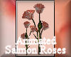 [my]Roses Salmon Anim