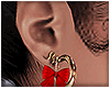 💎 Xmas Earring