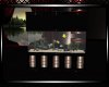 *Passion Fish Tank 3