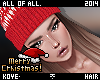 Christmas Toddy