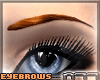 [n77] Eyebrows/Br Deriv.