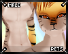 [PETS] Tigger | fur v2