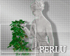 [P]Statue Aphrodite