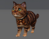 Fluffy Cat Pet avi
