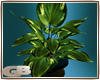 [GB]Natural plants